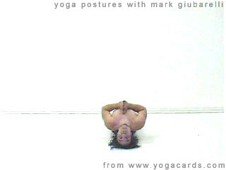 yoga poses - fish posture